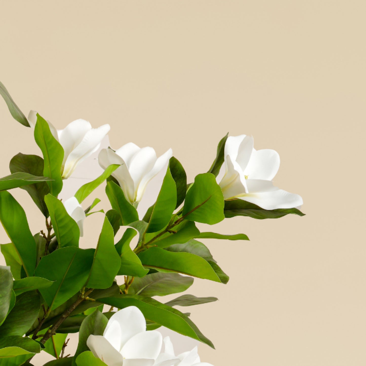 Artificial Magnolia Tree (Green Leaf)