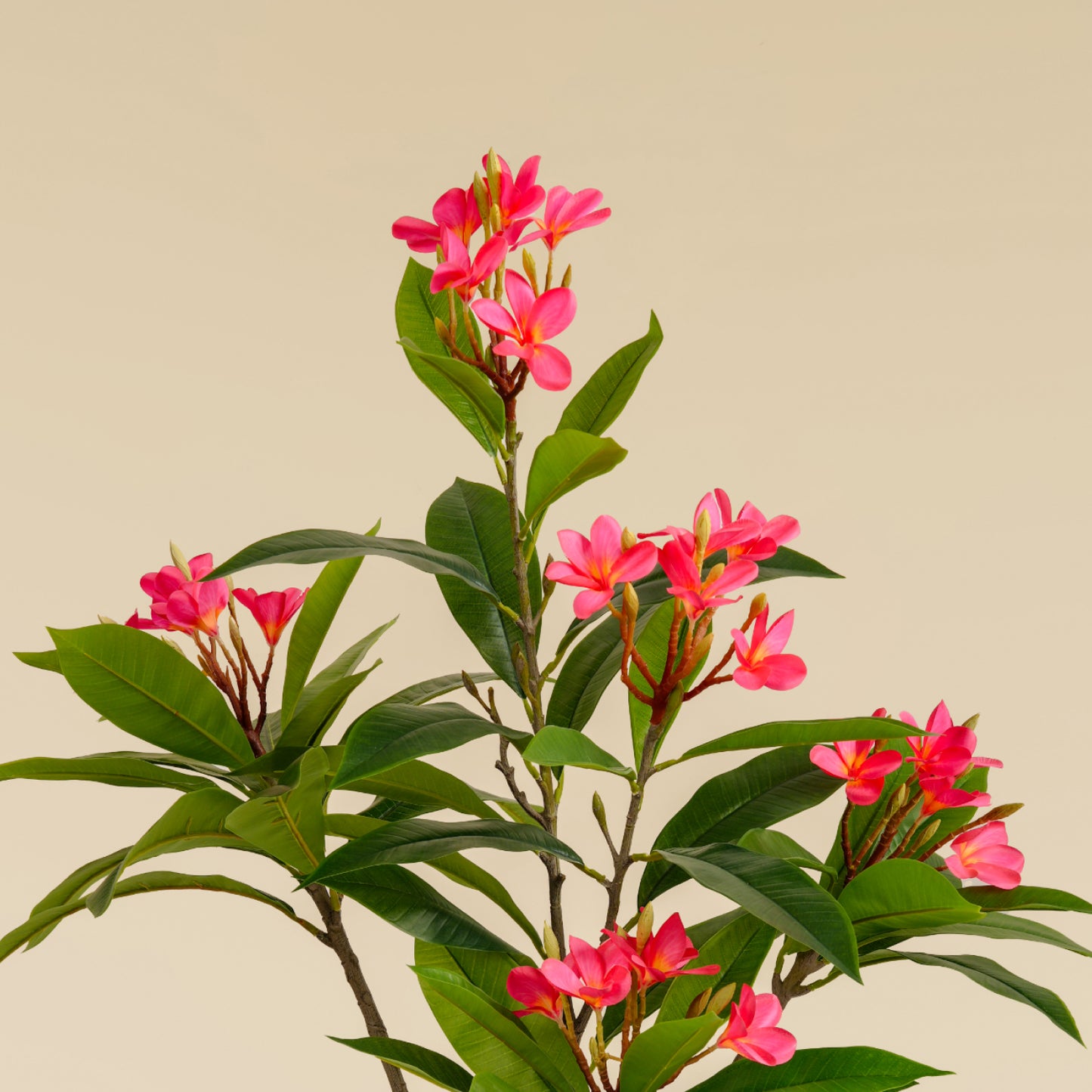 Artificial Frangipani Tree 110 CM (Red)