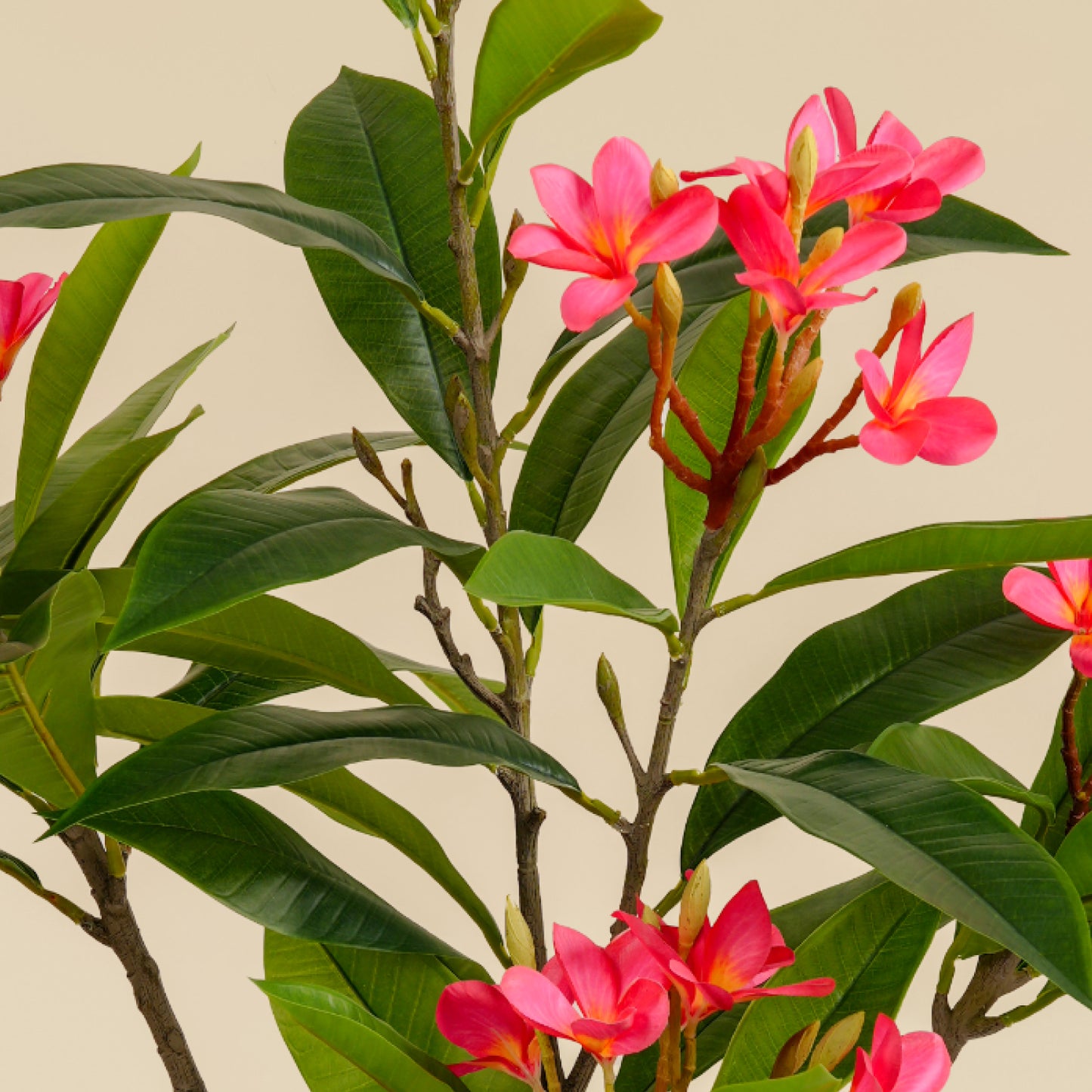 Artificial Frangipani Tree 110 CM (Red)