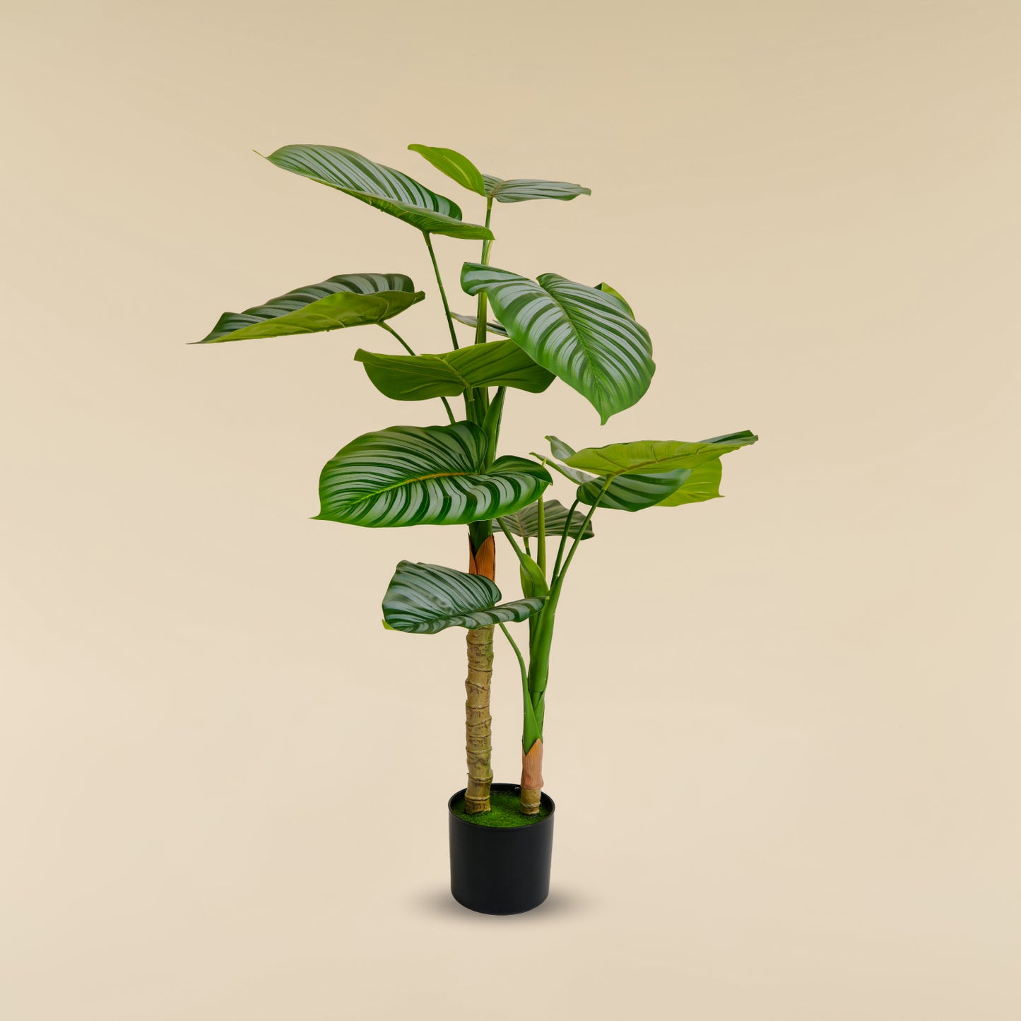 Artificial Striped Money Plant (11 Leaves)