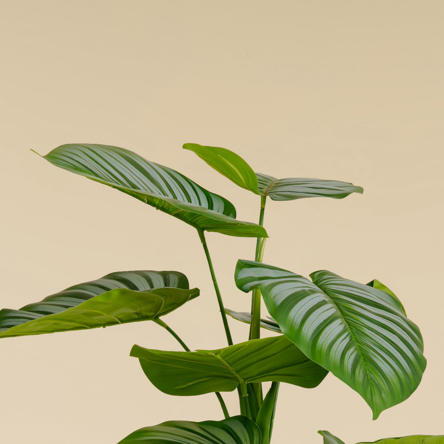 Artificial Striped Money Plant (11 Leaves)