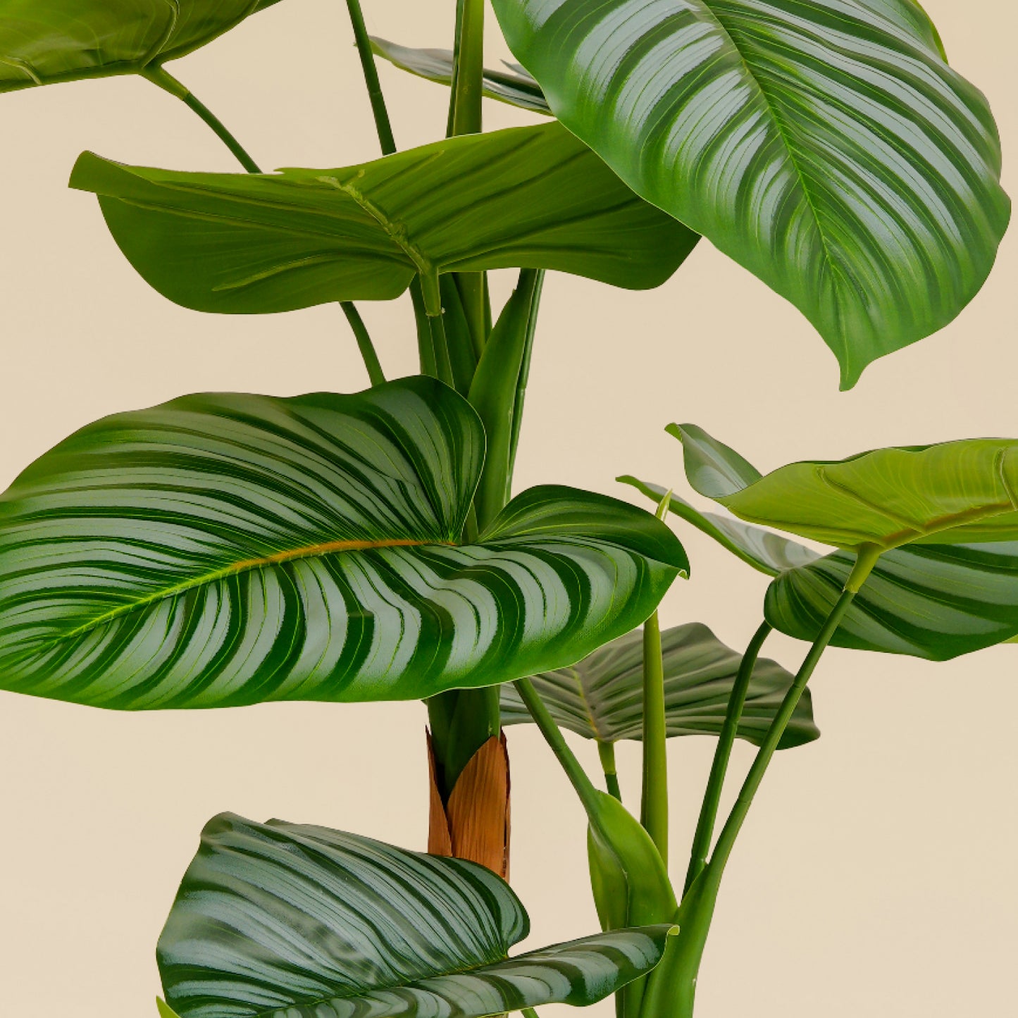 Artificial Striped Money Plant (11 Leaves)