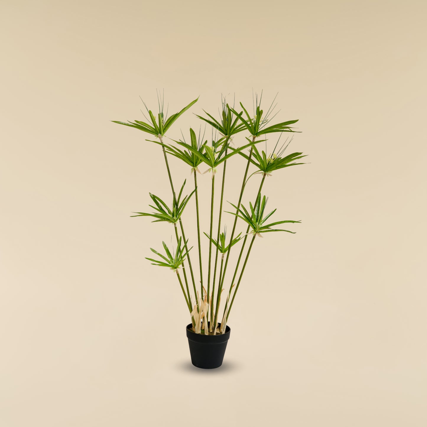 Artificial Umbrella Grass (10 Branches)