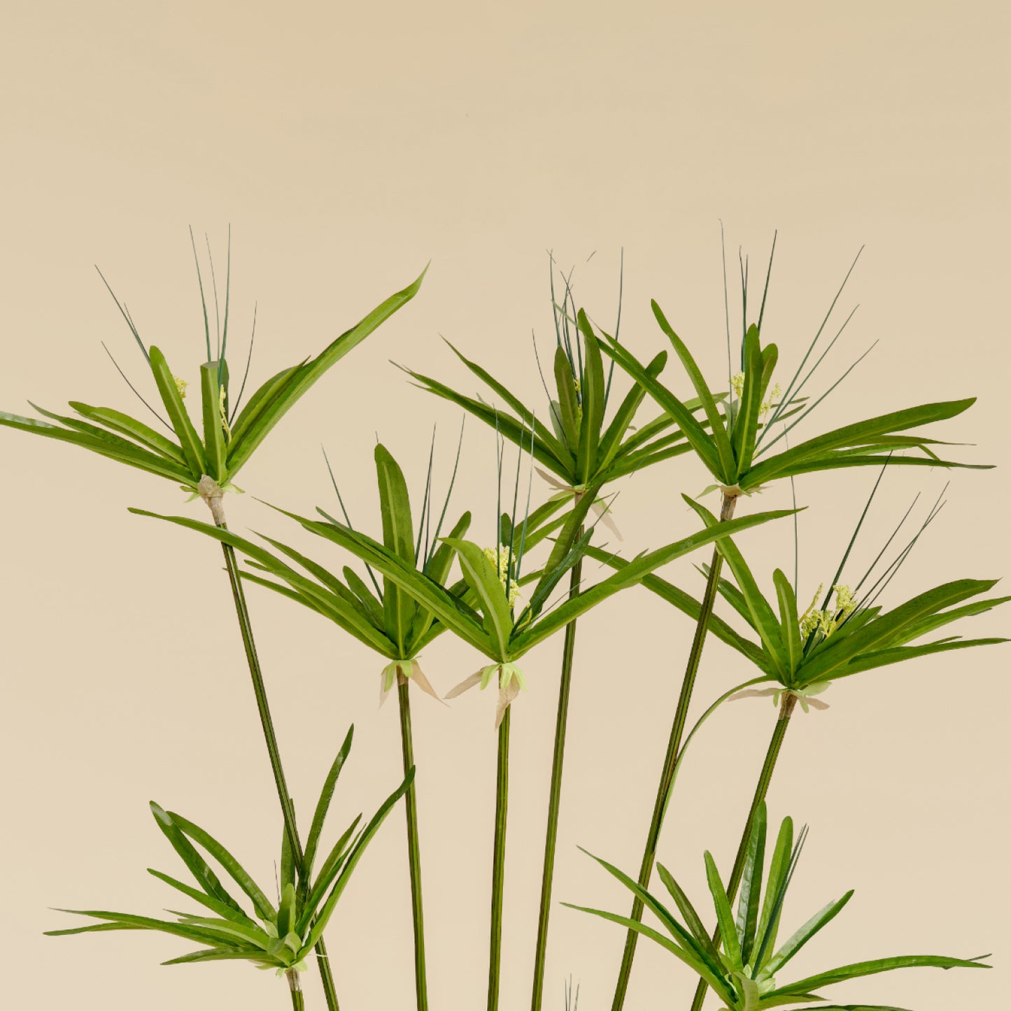 Artificial Umbrella Grass (10 Branches)