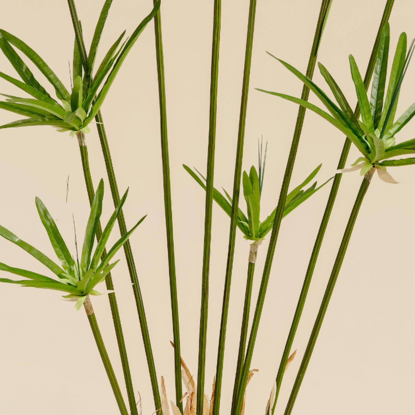 Artificial Umbrella Grass (10 Branches)