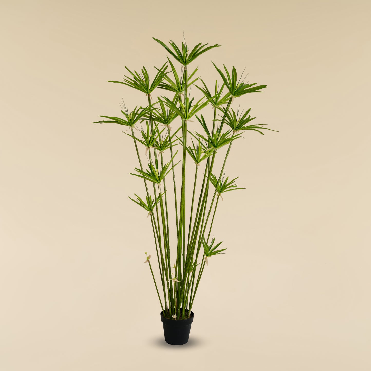 Artificial Umbrella Grass (22 Branches)