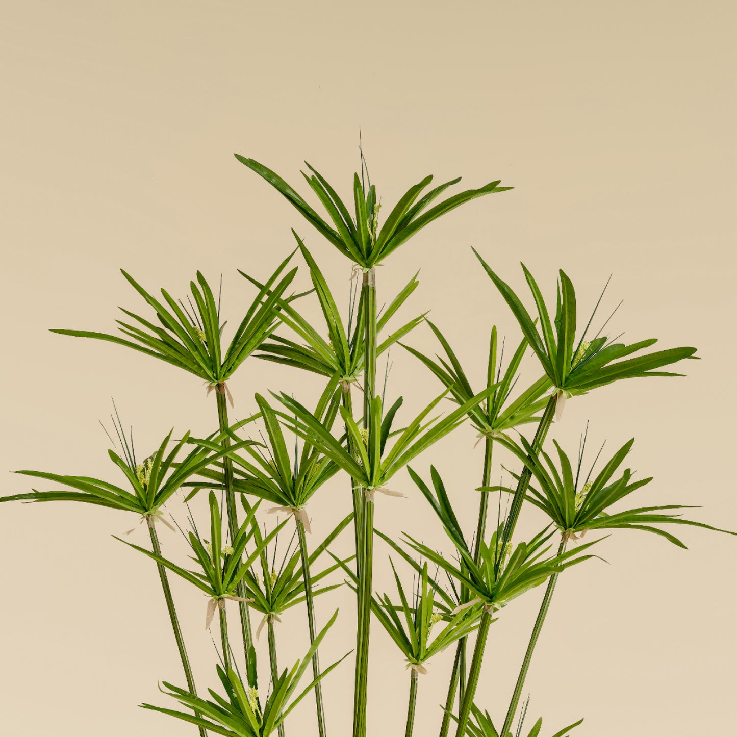 Artificial Umbrella Grass (22 Branches)