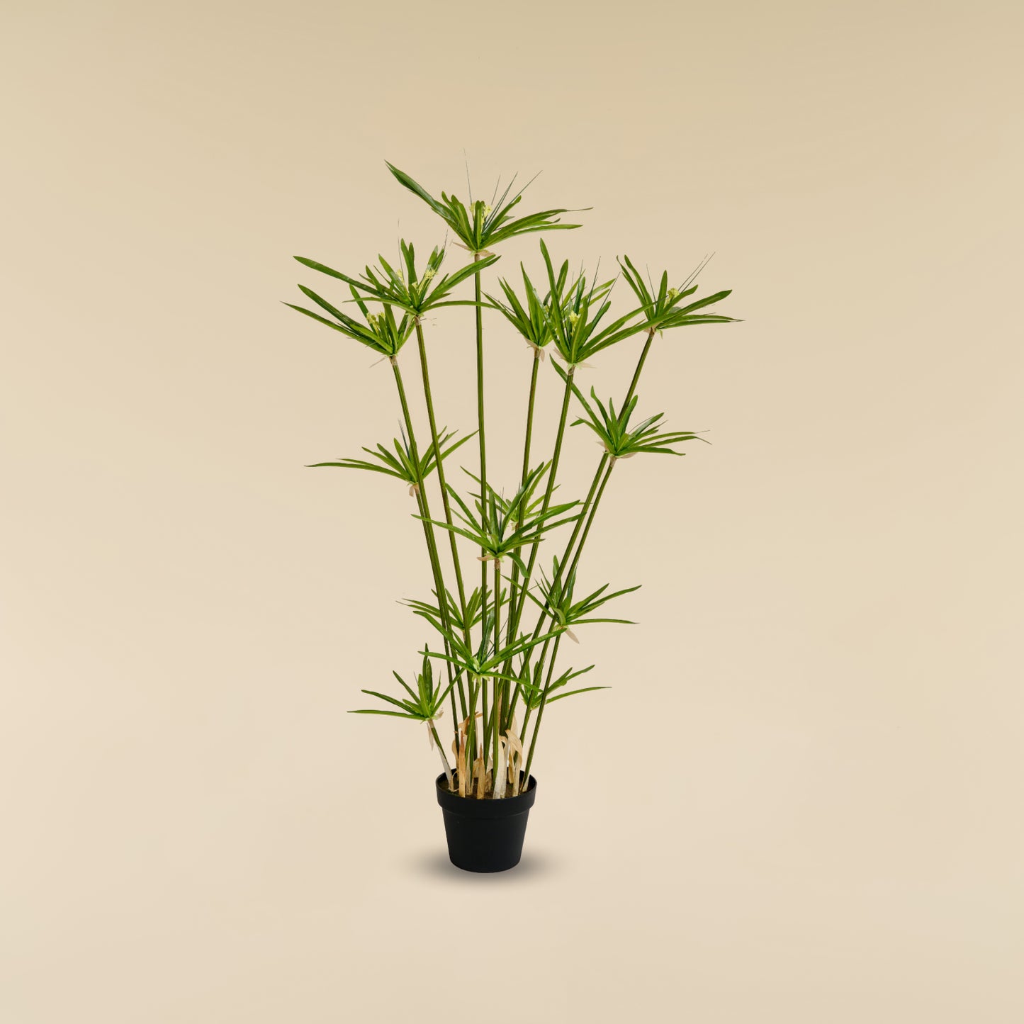 Artificial Umbrella Grass (15 branches)