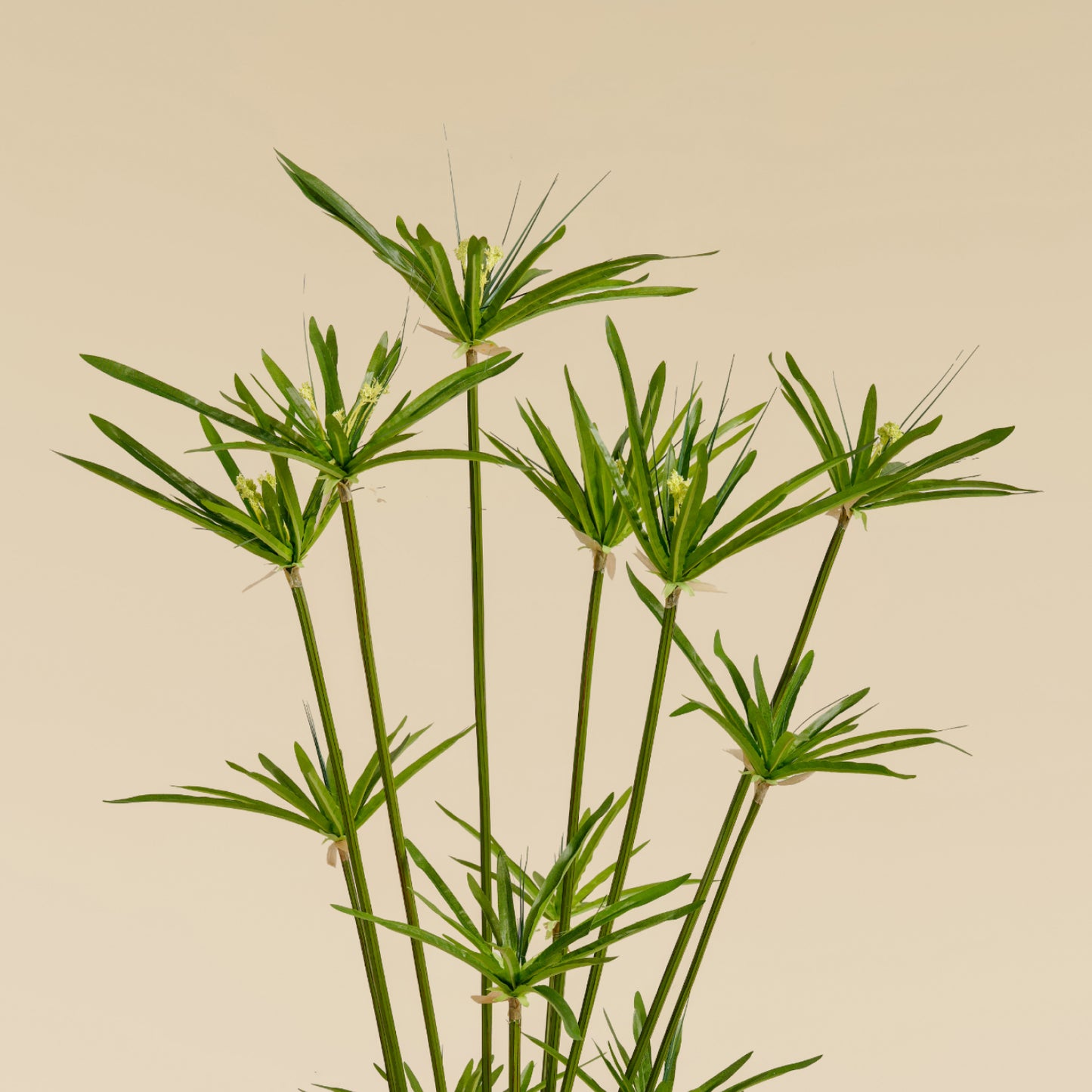 Artificial Umbrella Grass (15 branches)
