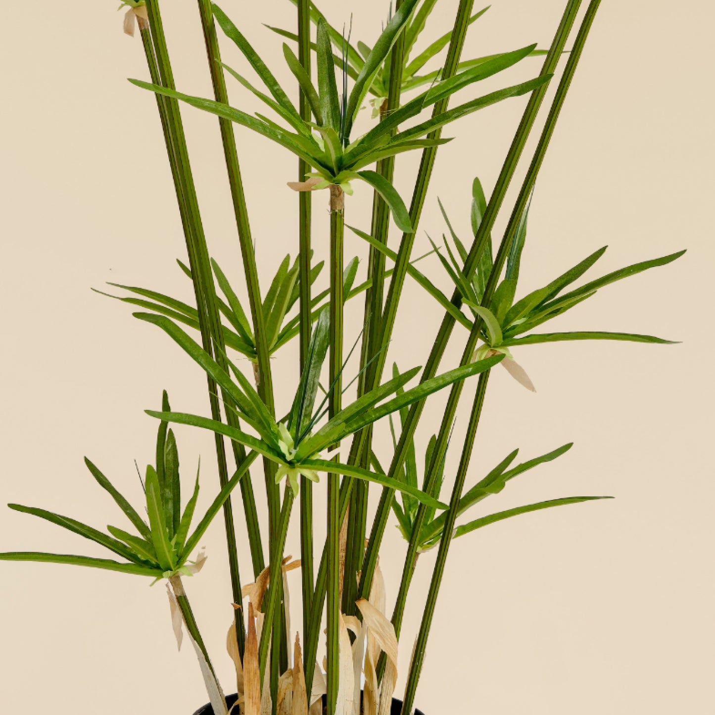 Artificial Umbrella Grass (15 branches)