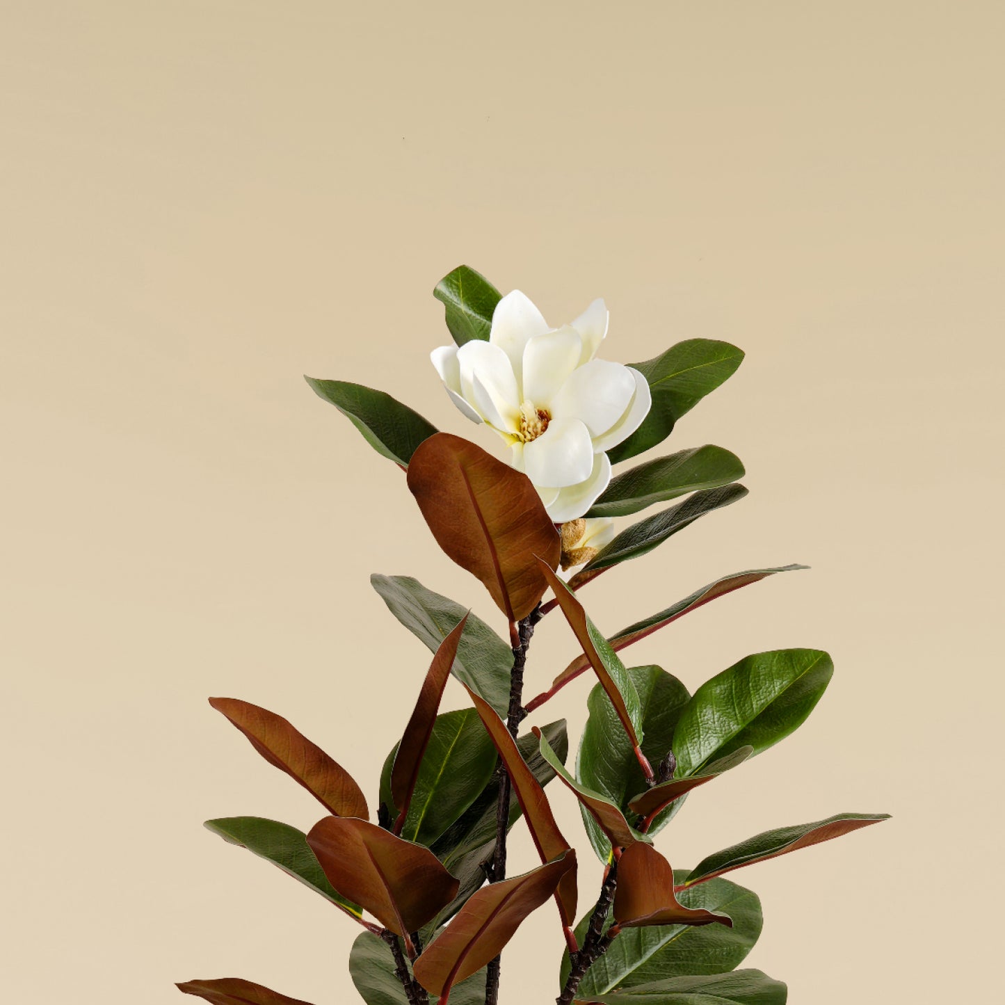 Artificial Magnolia Tree (Brown Leaf – 5 Branches)