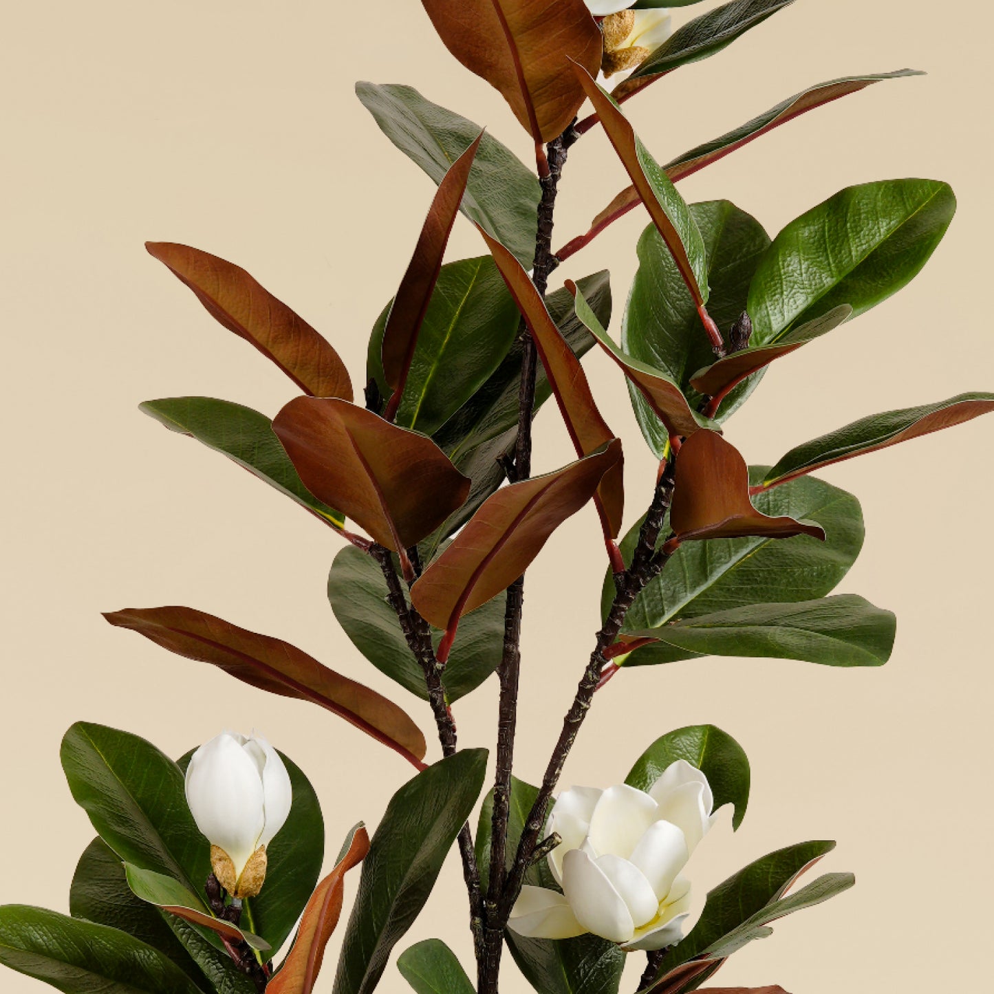 Artificial Magnolia Tree (Brown Leaf – 5 Branches)
