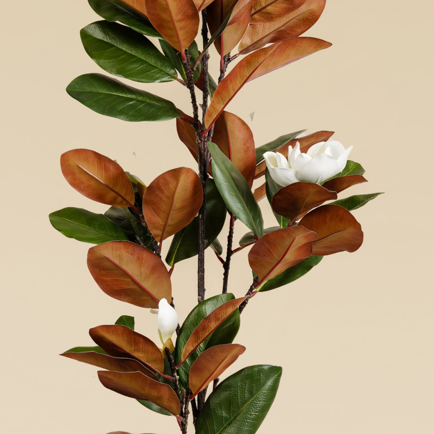 Artificial Magnolia Tree (Brown Leaf - 10 branches)