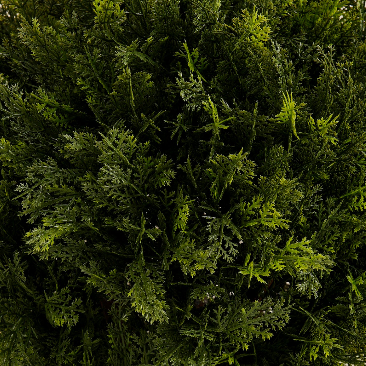 Artificial Cypress Ball Tree