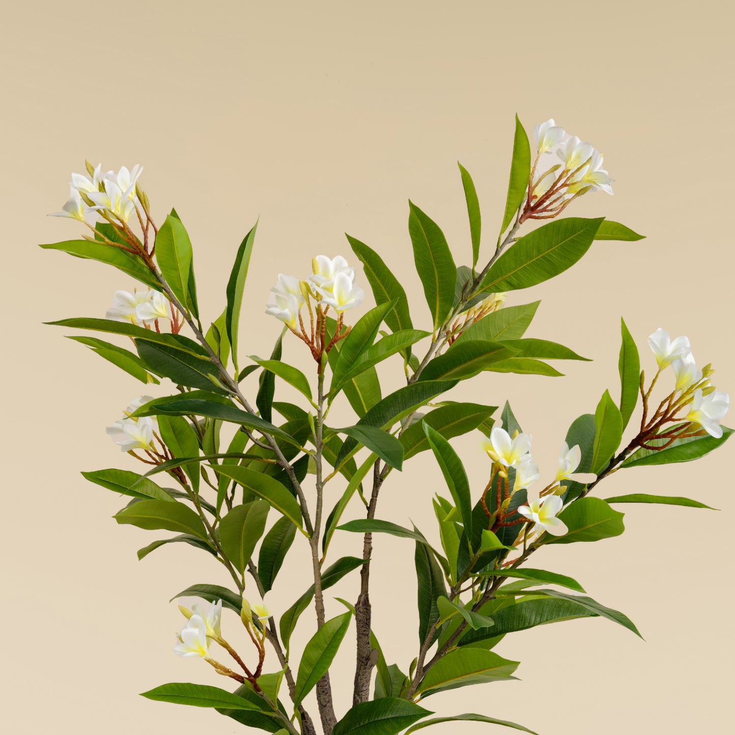 Artificial Frangipani Tree (150 Cm)