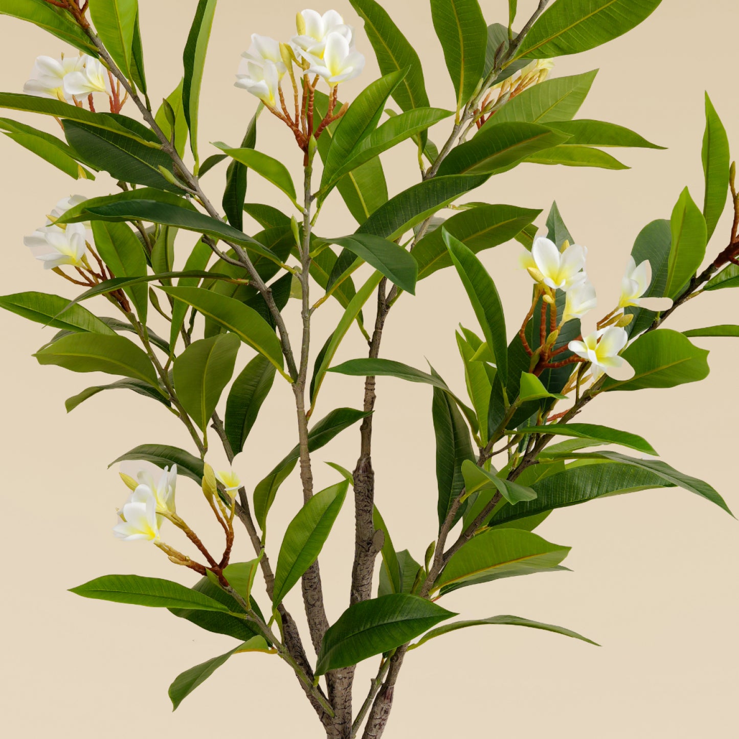 Artificial Frangipani Tree (150 Cm)