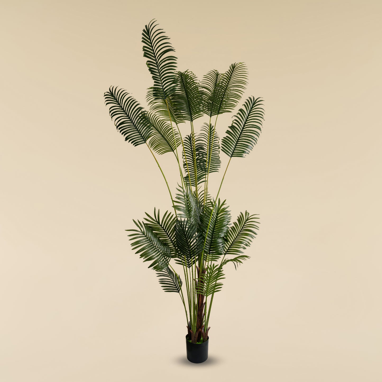Areca Palm (24 leaves)