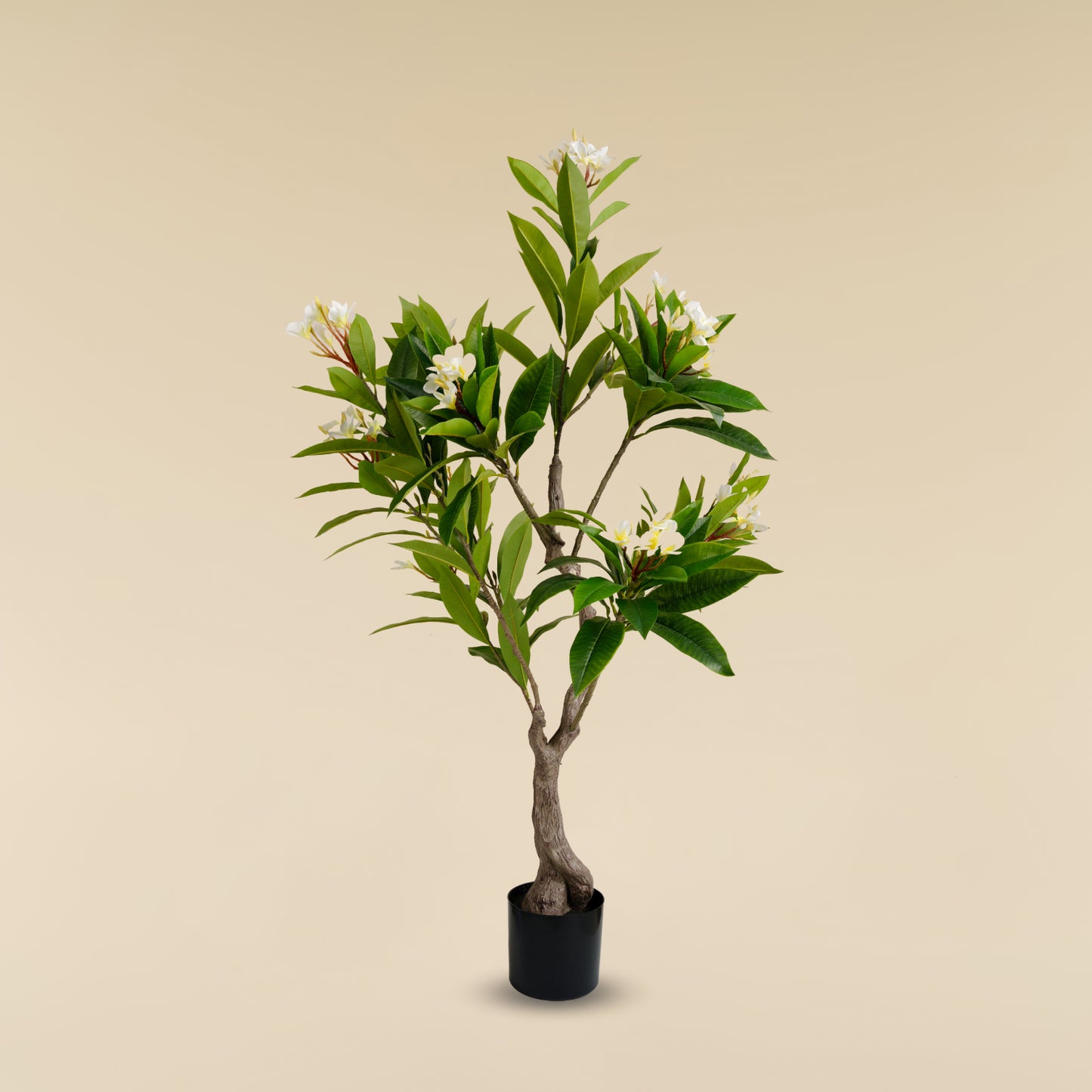 Artificial Frangipani Tree (170 CM)