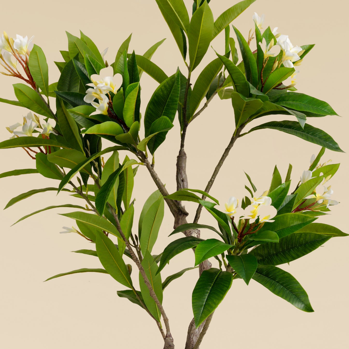 Artificial Frangipani Tree (170 CM)
