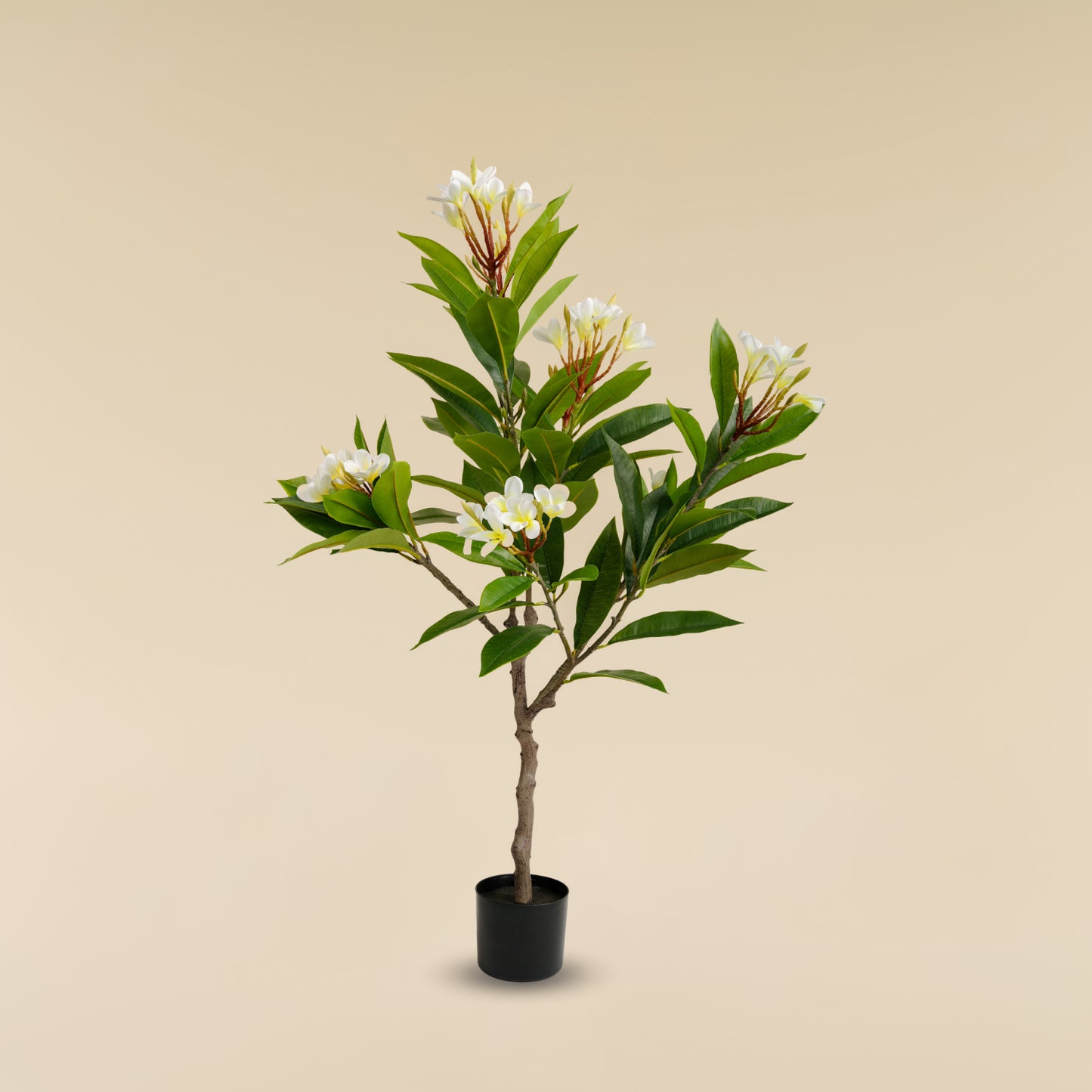 Artificial Frangipani Tree (120 CM)
