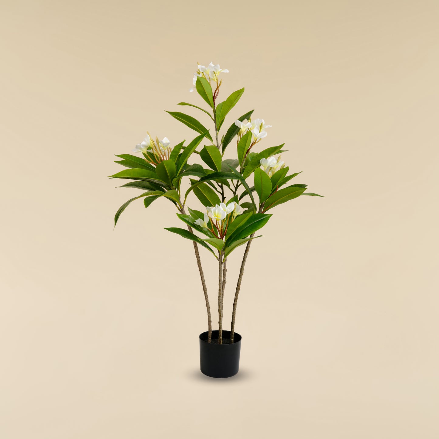 Artificial Frangipani Tree 110 CM (White)