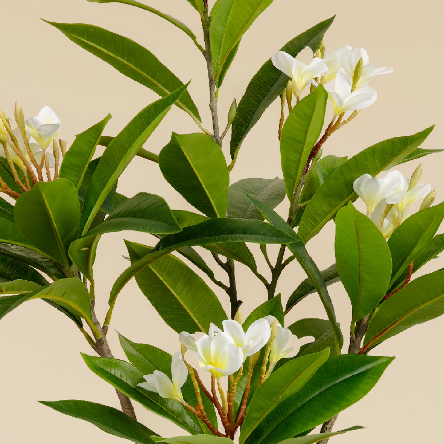 Artificial Frangipani Tree 110 CM (White)