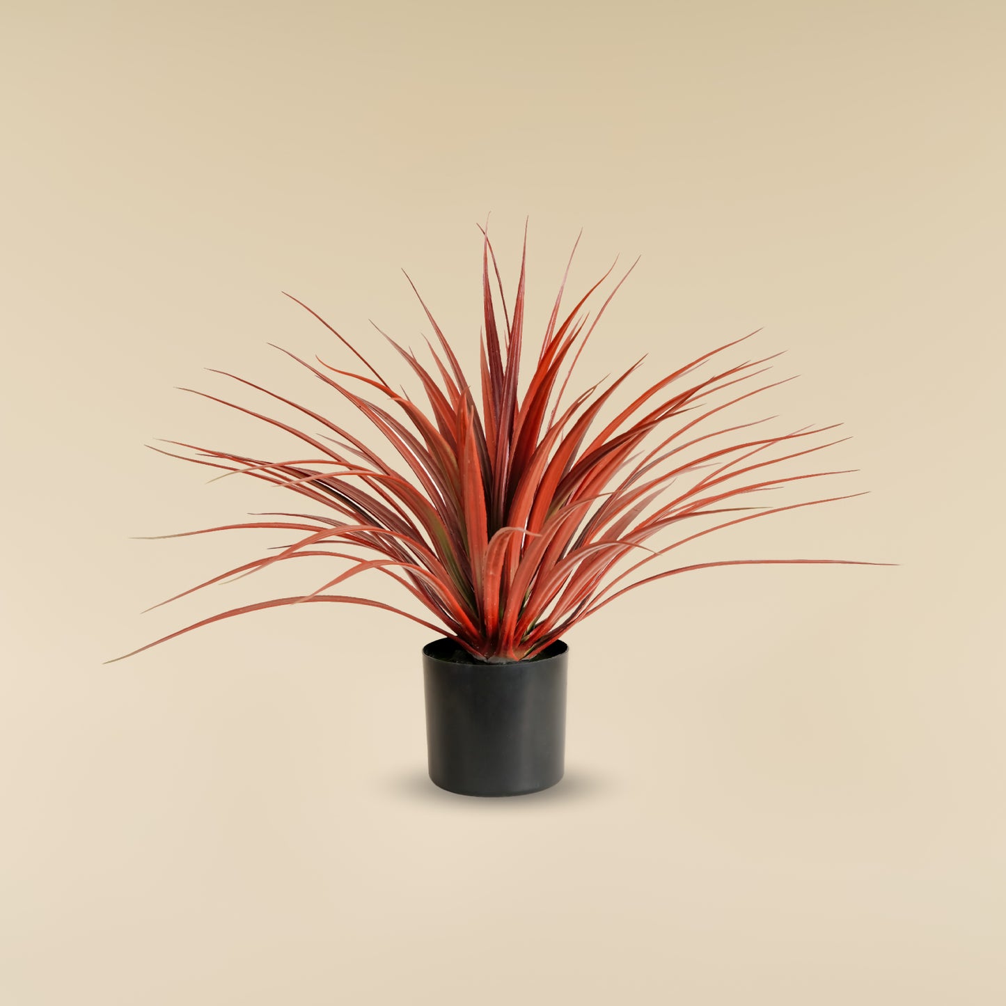 Red Yucca ( 70 Leaves)