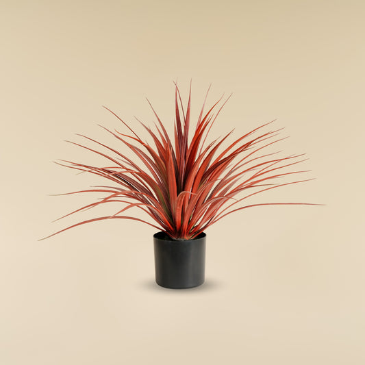 Red Yucca ( 70 Leaves)