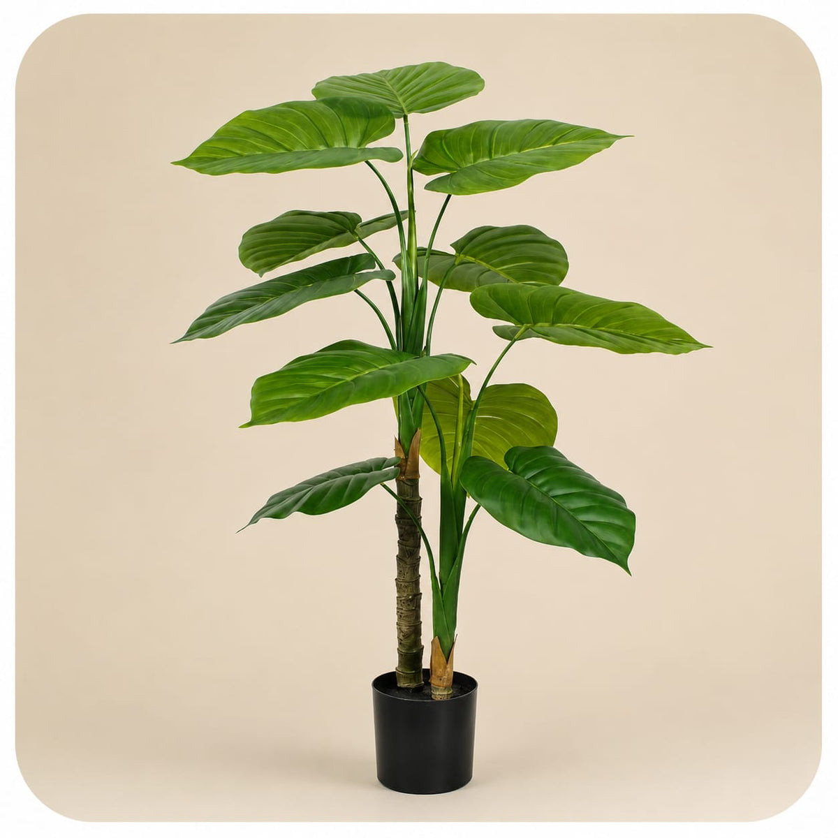 Artificial Money Plant (11 Leaves)
