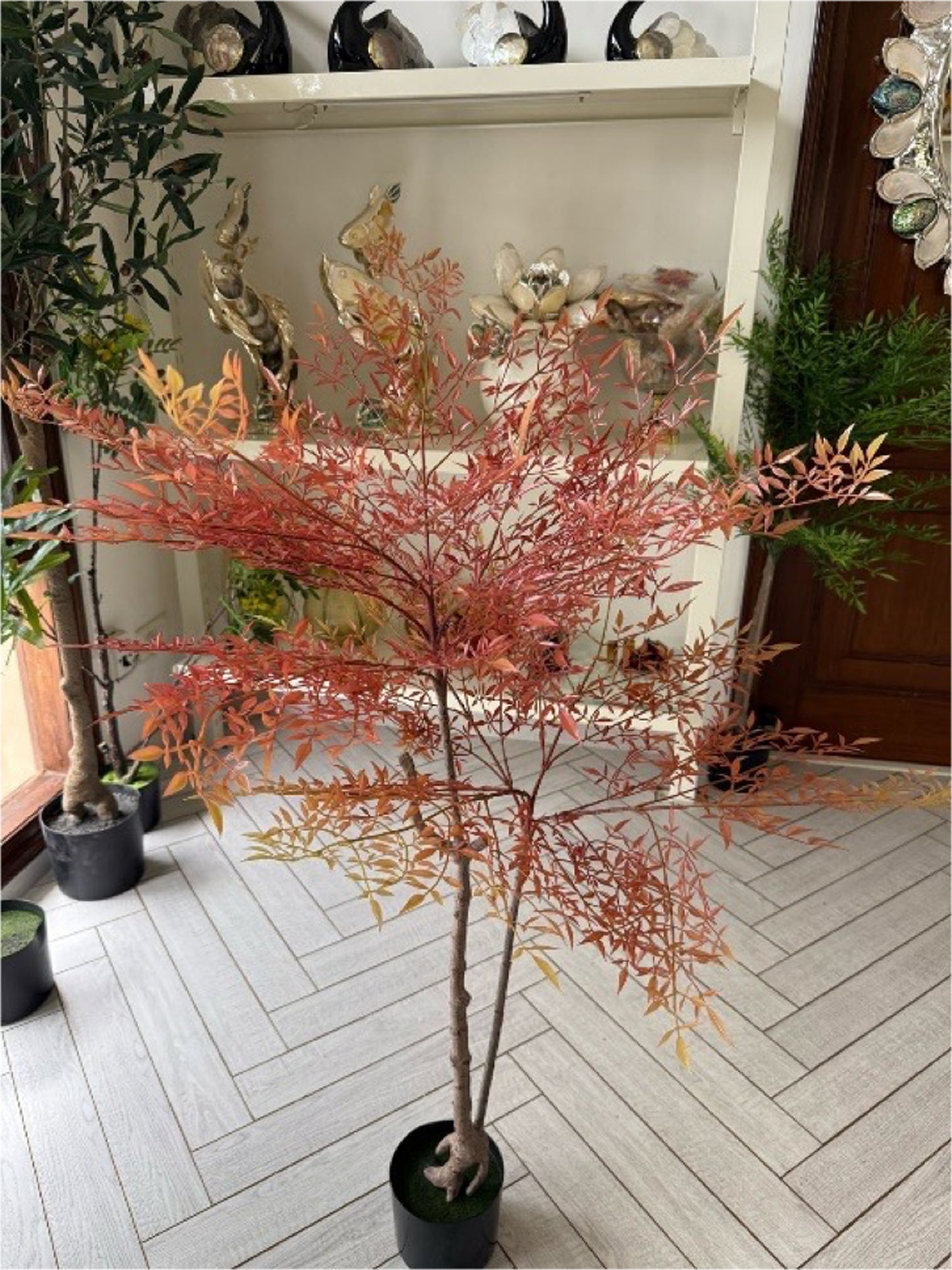 Heavenly Bamboo (4.3 Feet)