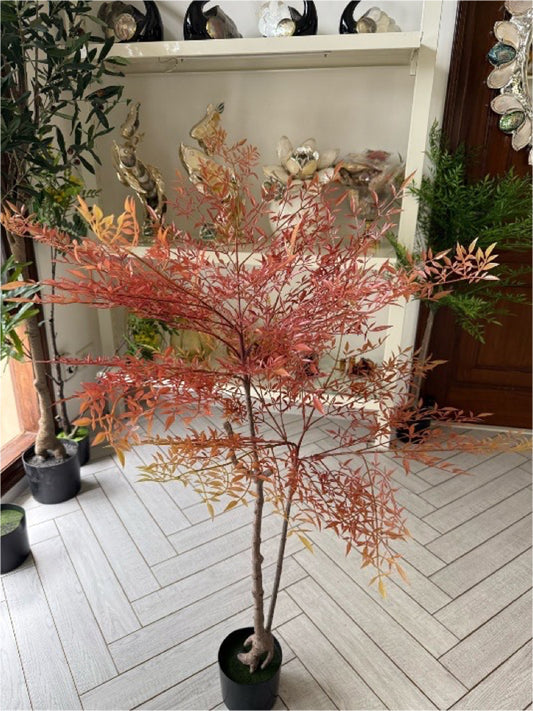 Heavenly Bamboo (4.3 Feet)